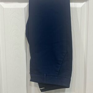Express Deep Blue Slacks
